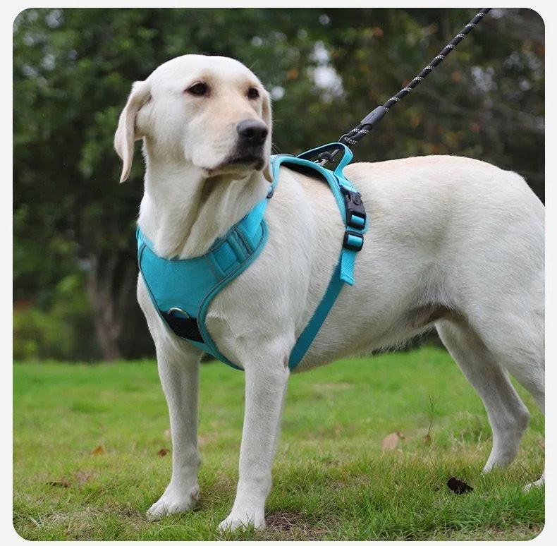 Reflective Dog Harness & Leash Set with Tracker Holder