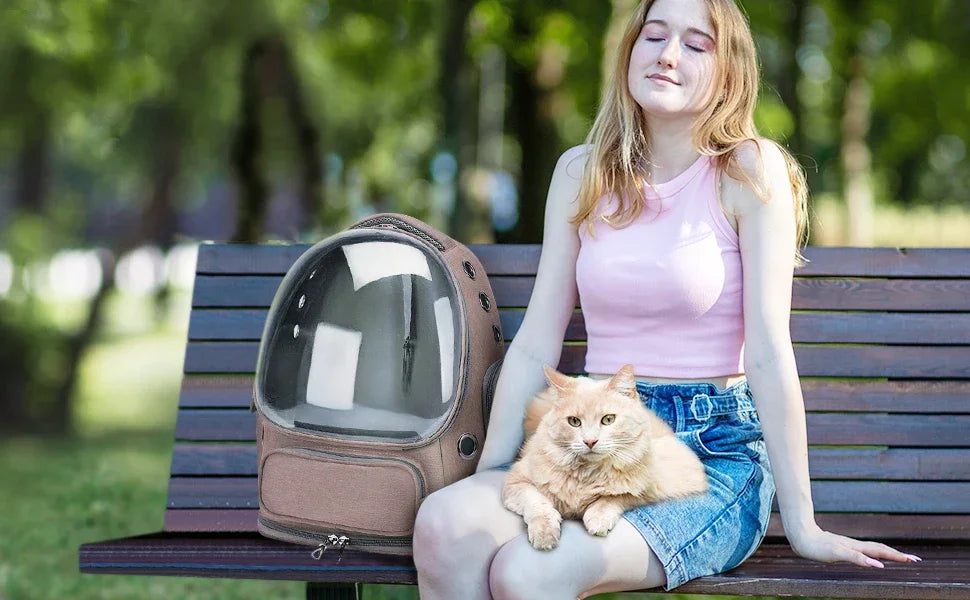 Transparent Pet Carrier Backpack