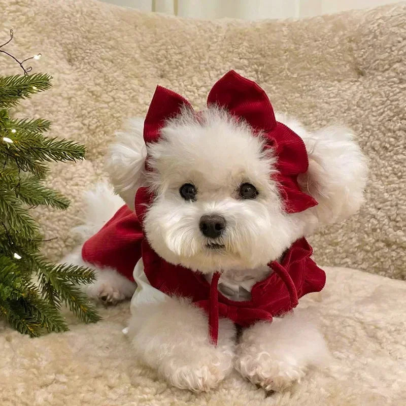 Winter Bow Dress Set for Dogs