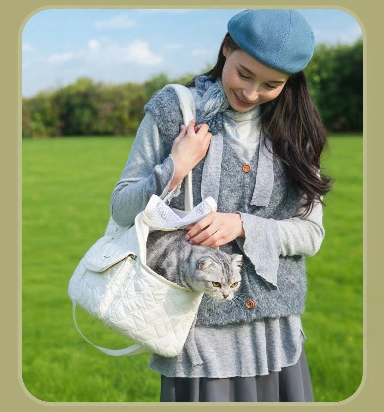 Breathable Mesh Pet Travel Tote Bag