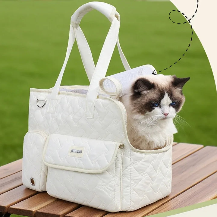 Breathable Mesh Pet Travel Tote Bag