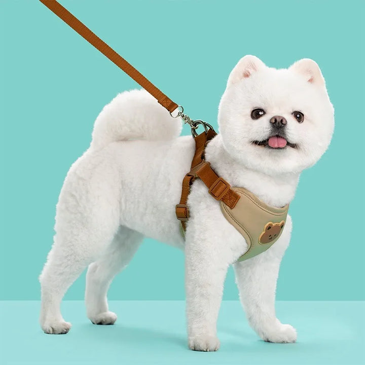 Breathable Dog Harness & Leash Set – Small Breeds