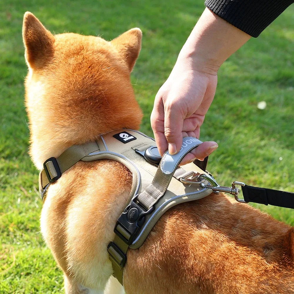 Reflective Dog Harness & Leash Set with Tracker Holder