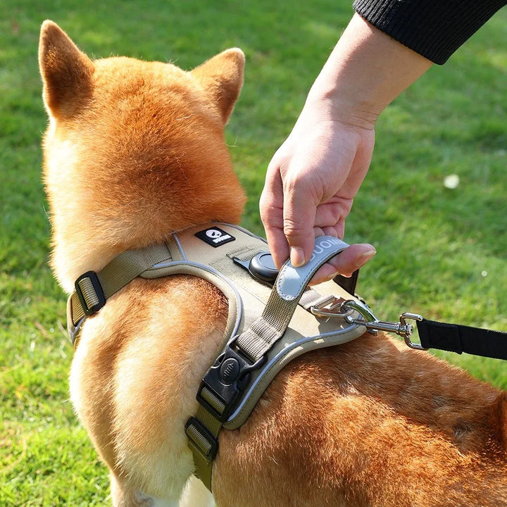 Reflective Dog Harness & Leash Set with Tracker Holder