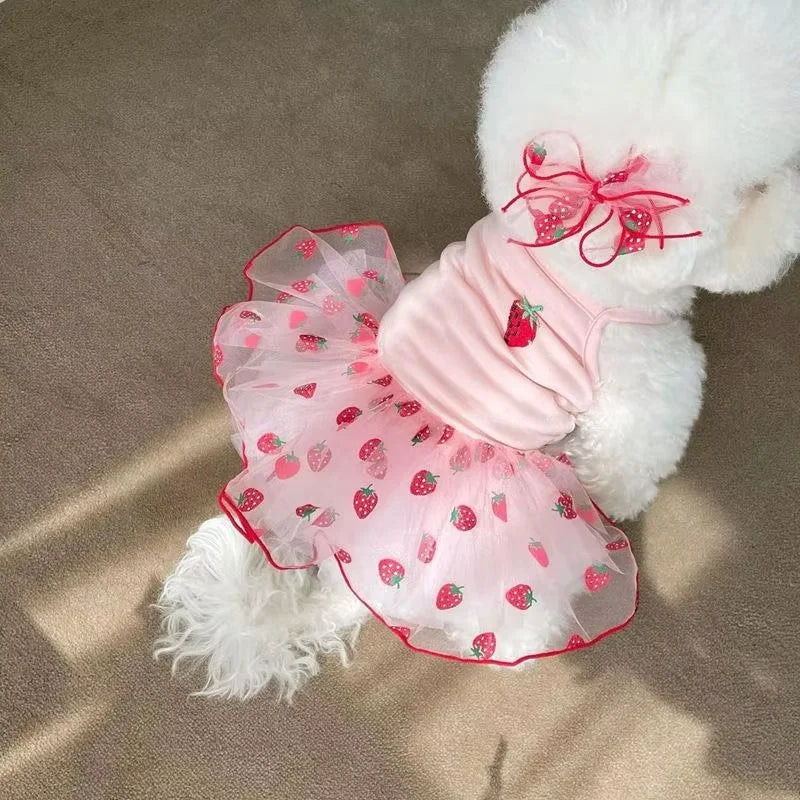 Strawberry Tutu Dress with Headband