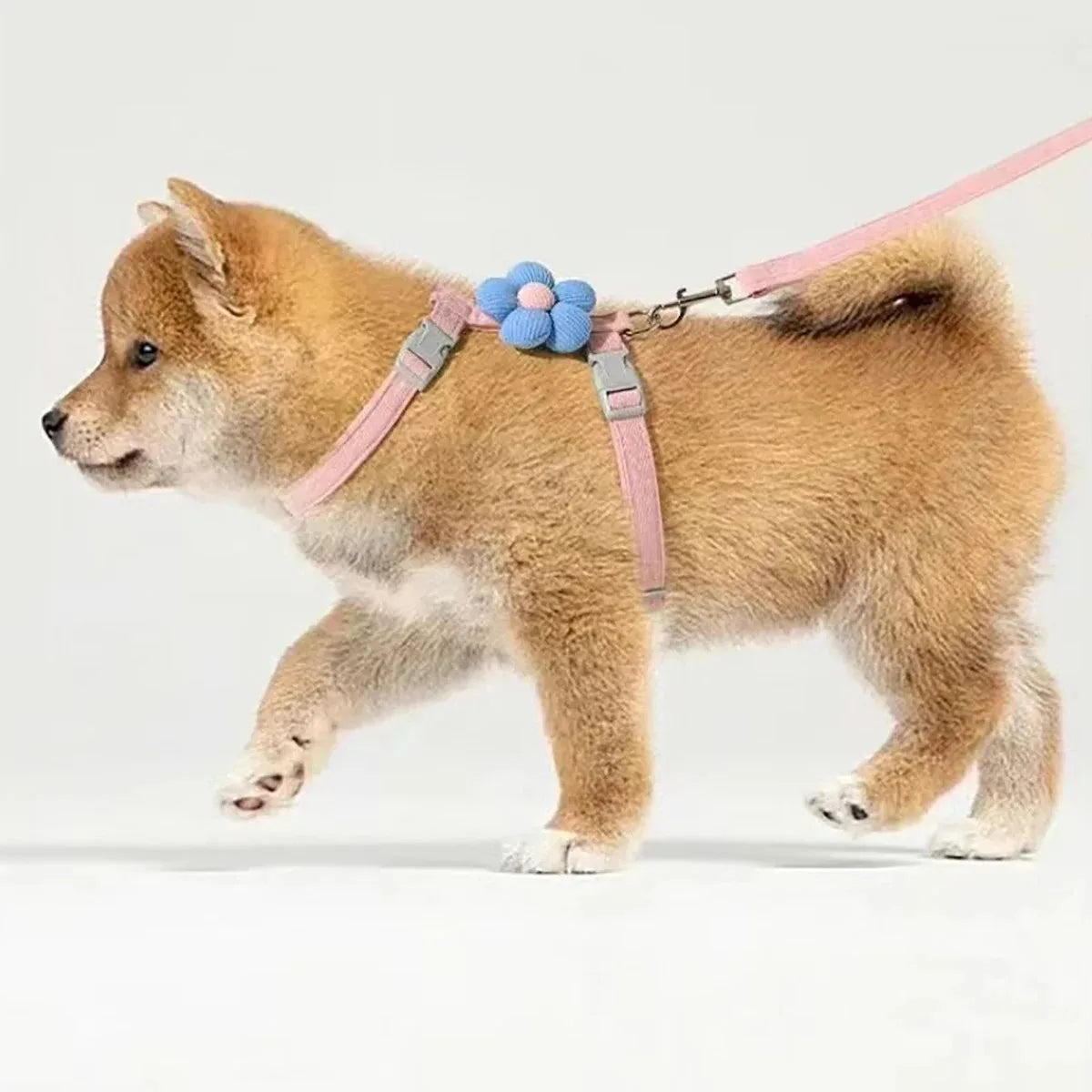 Adjustable Cat & Small Dog Harness and Leash Set
