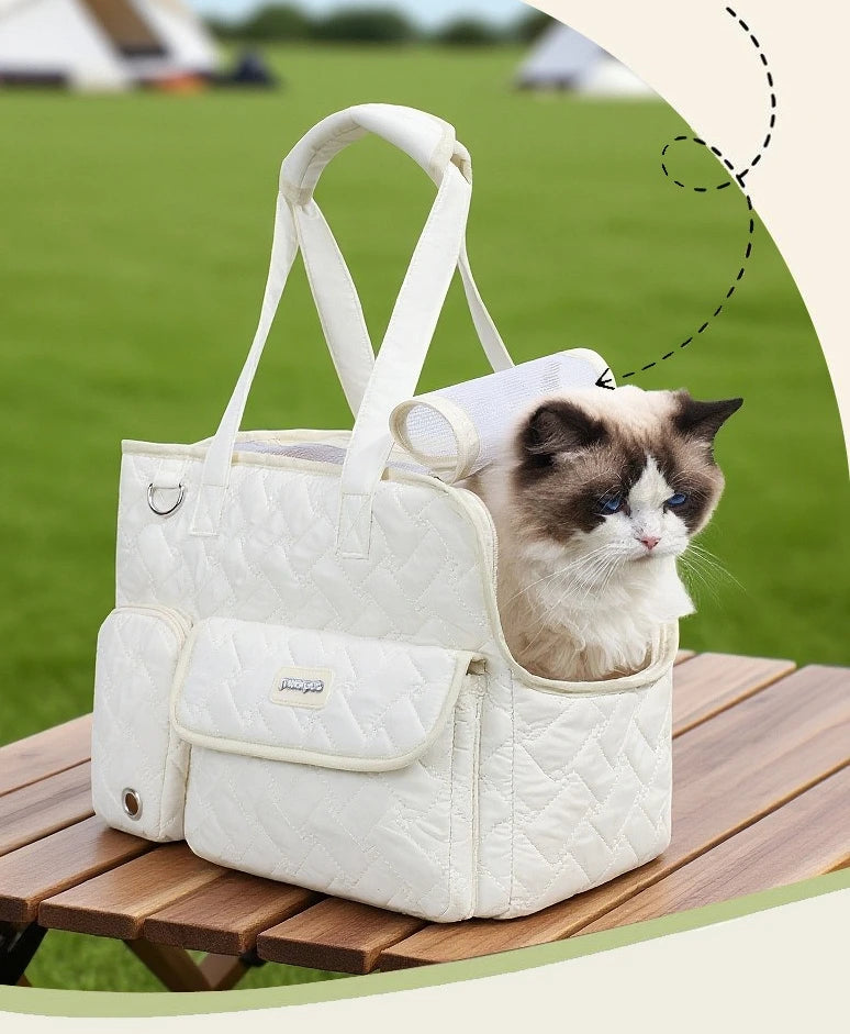 Breathable Mesh Pet Travel Tote Bag
