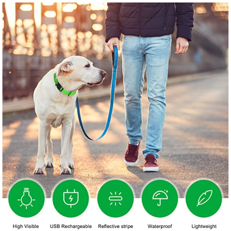 Rechargeable LED Dog Collar – 3-Mode Night Safety Light