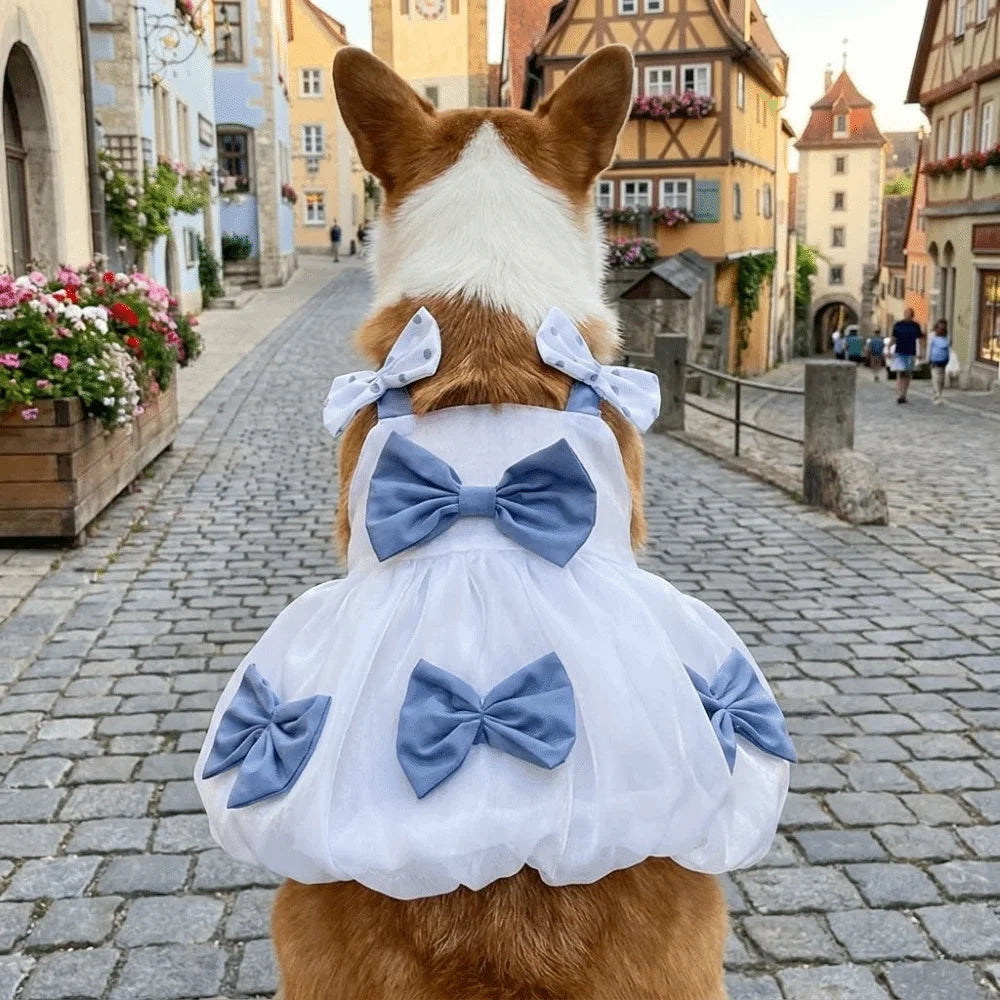 Breathable Lace Princess Dog Dress