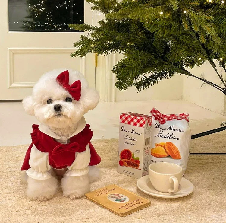 Winter Bow Dress Set for Dogs