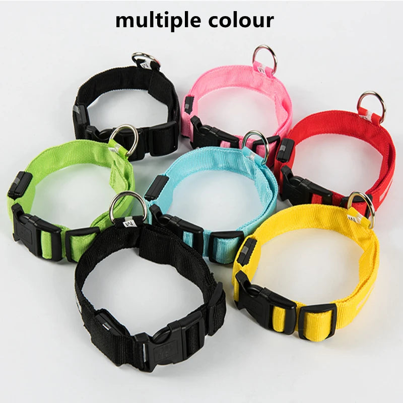 Rechargeable LED Dog Collar – 3-Mode Night Safety Light