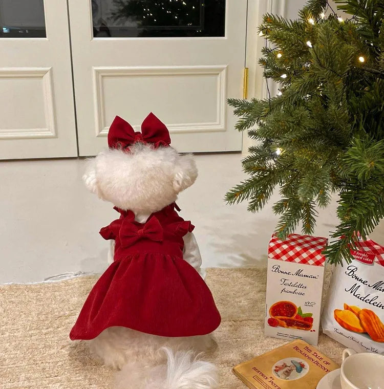 Winter Bow Dress Set for Dogs