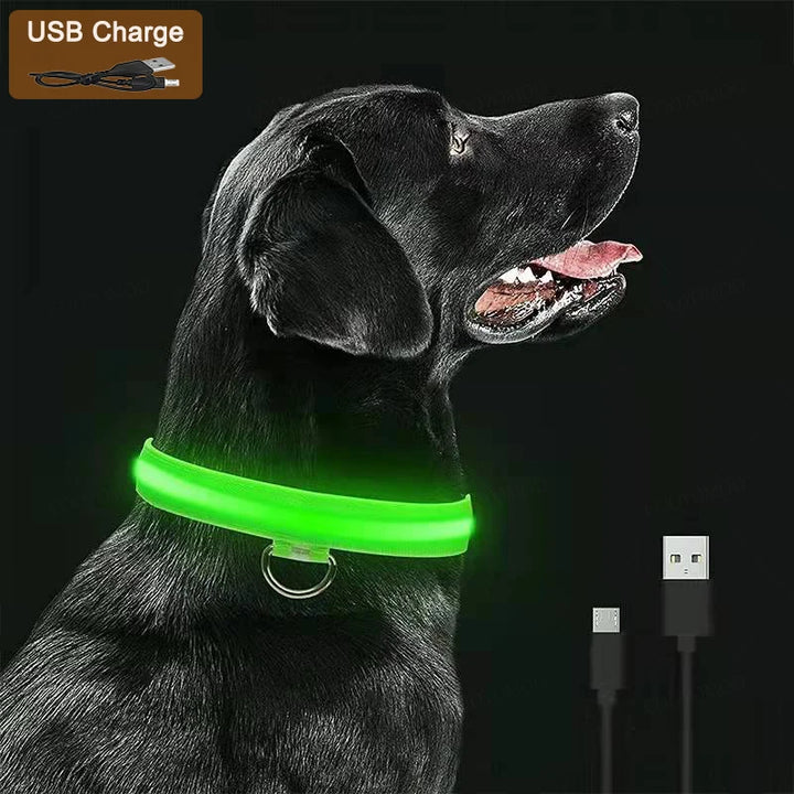 Rechargeable LED Dog Collar – 3-Mode Night Safety Light
