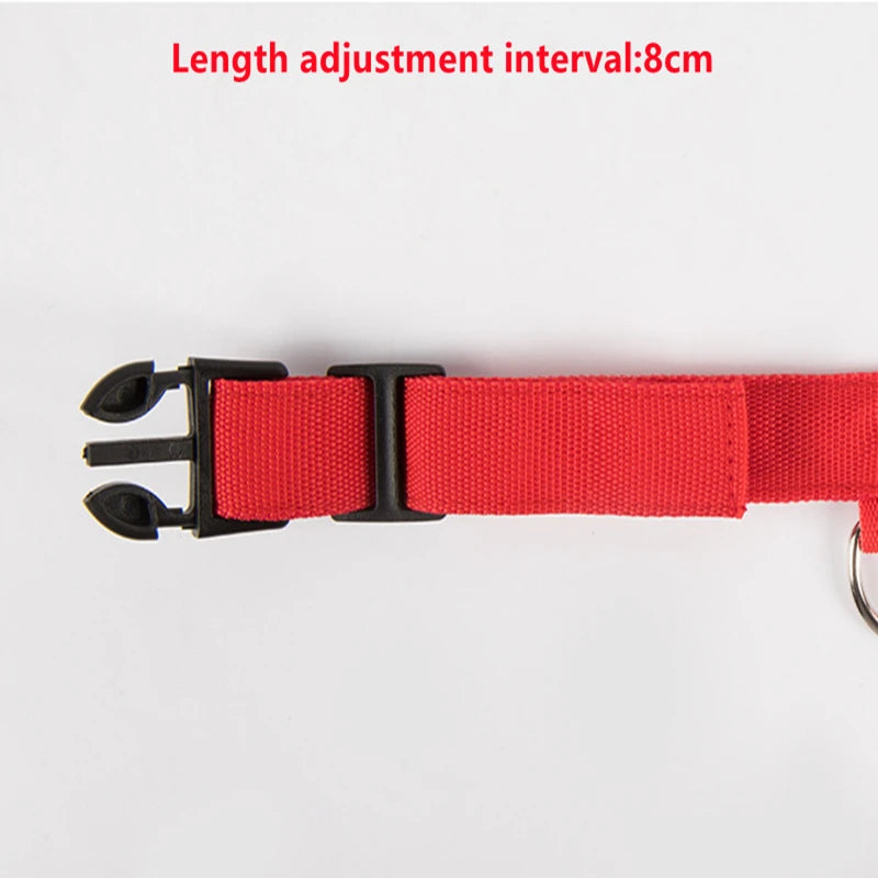 Rechargeable LED Dog Collar – 3-Mode Night Safety Light