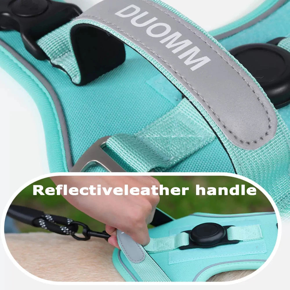 Reflective Dog Harness & Leash Set with Tracker Holder