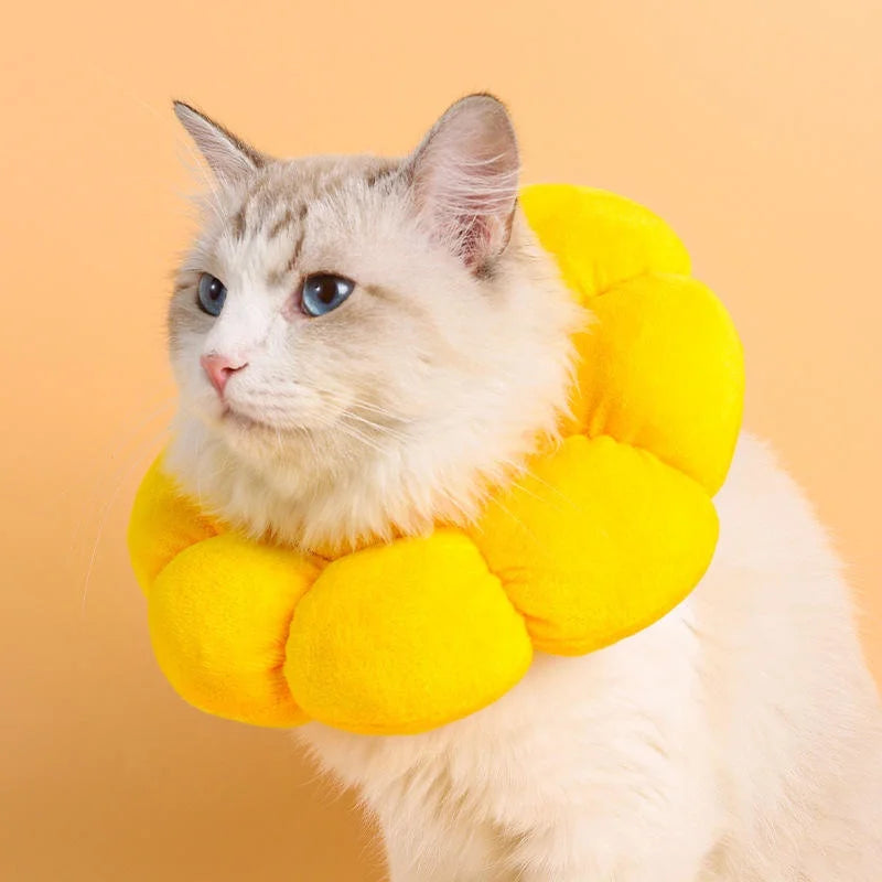 Soft Recovery Collar – Anti-Bite Cone for Cats & Dogs