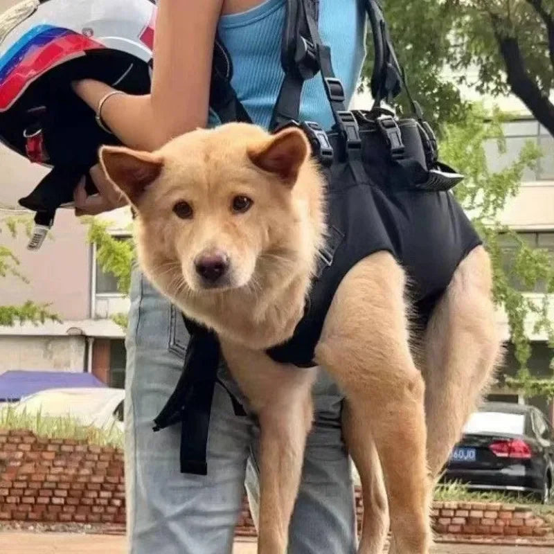 Adjustable Dog Carrier Backpack