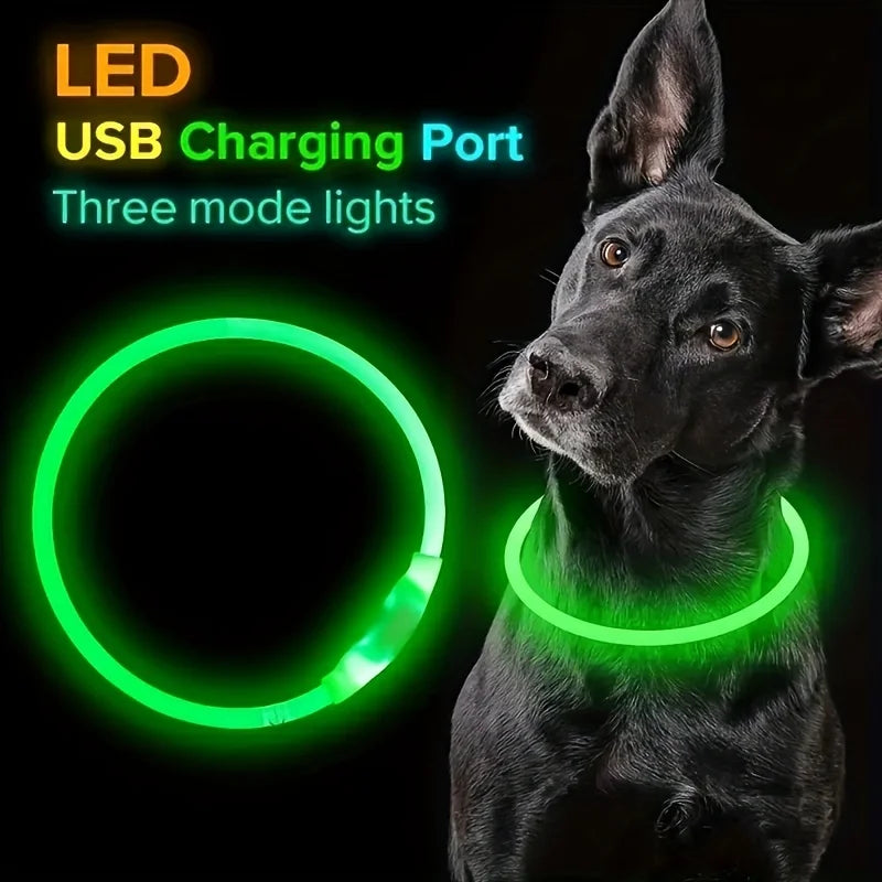 LED Anti-Lost Dog Collar – USB Rechargeable Light