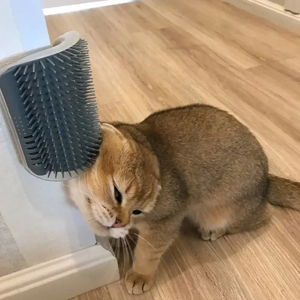 Cat Corner Scratcher Comb – Massage Brush with Catnip