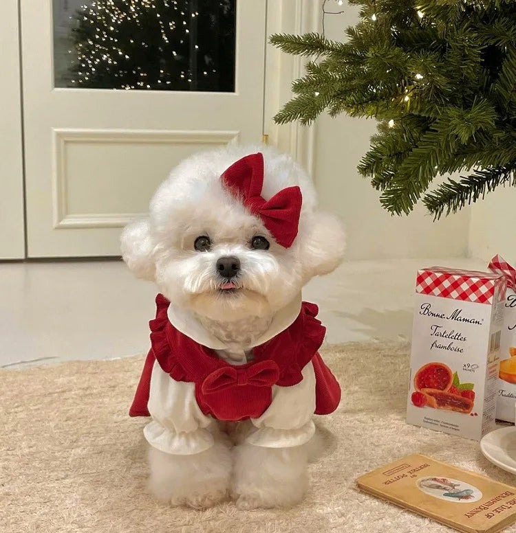 Winter Bow Dress Set for Dogs