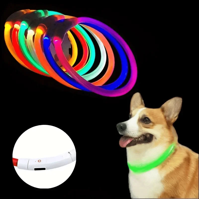 LED Anti-Lost Dog Collar – USB Rechargeable Light