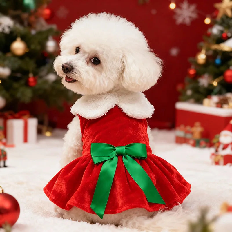 Gold Velvet Christmas Dog Dress