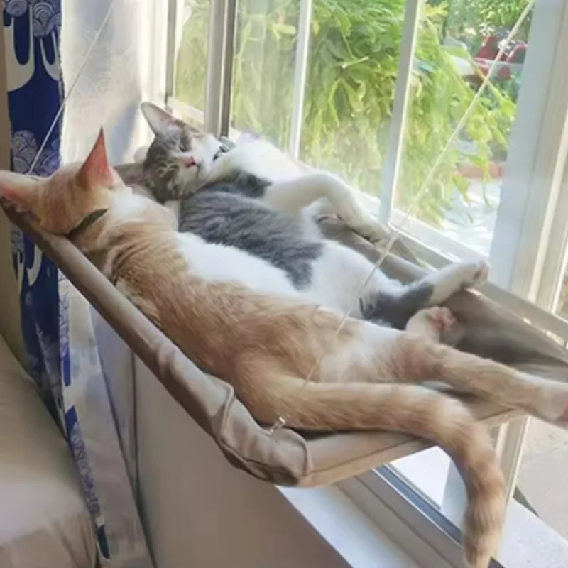 Cat Window Hammock – Hanging Sunny Perch, Holds Up to 20kg